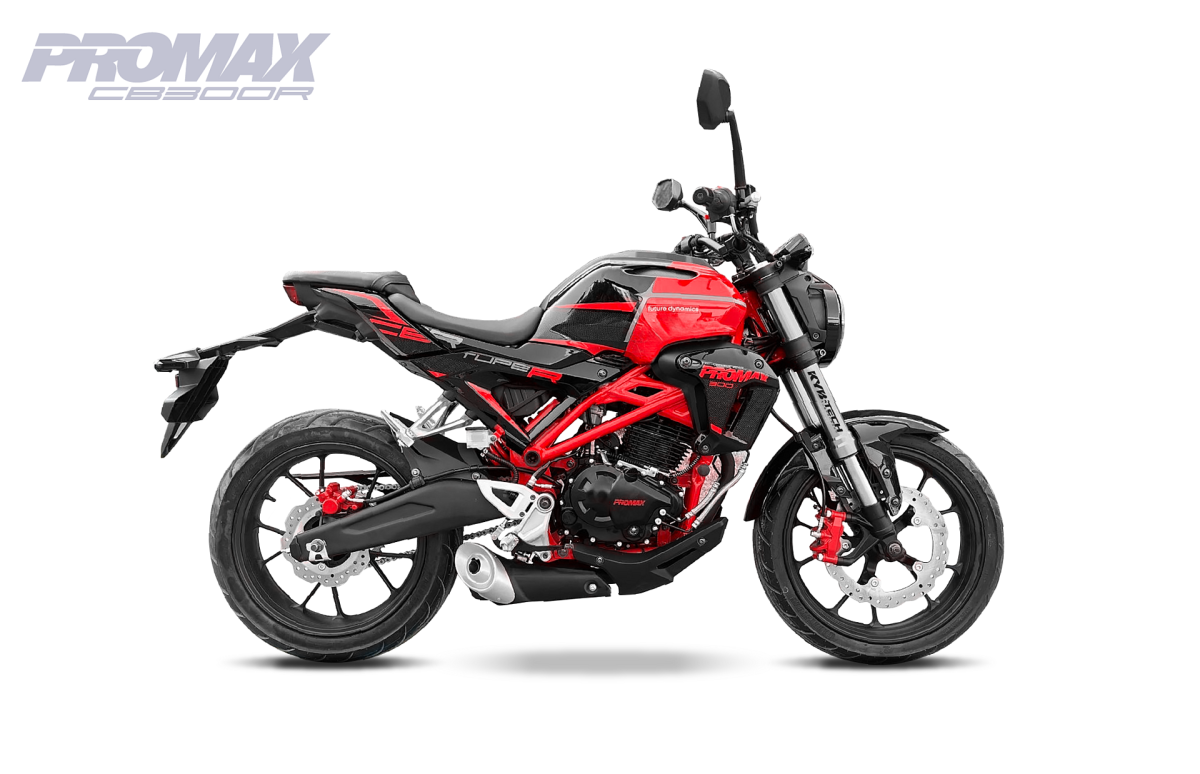 Мотоцикл PROMAX CB300RL (4V, 6G)